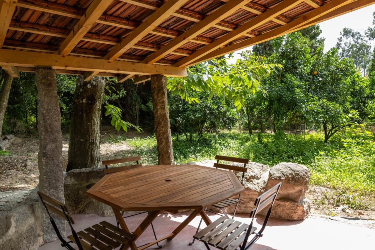 Casas Do Capitao - Paiva Valley - Pool And Nature Castelo de Paiva Dış mekan fotoğraf